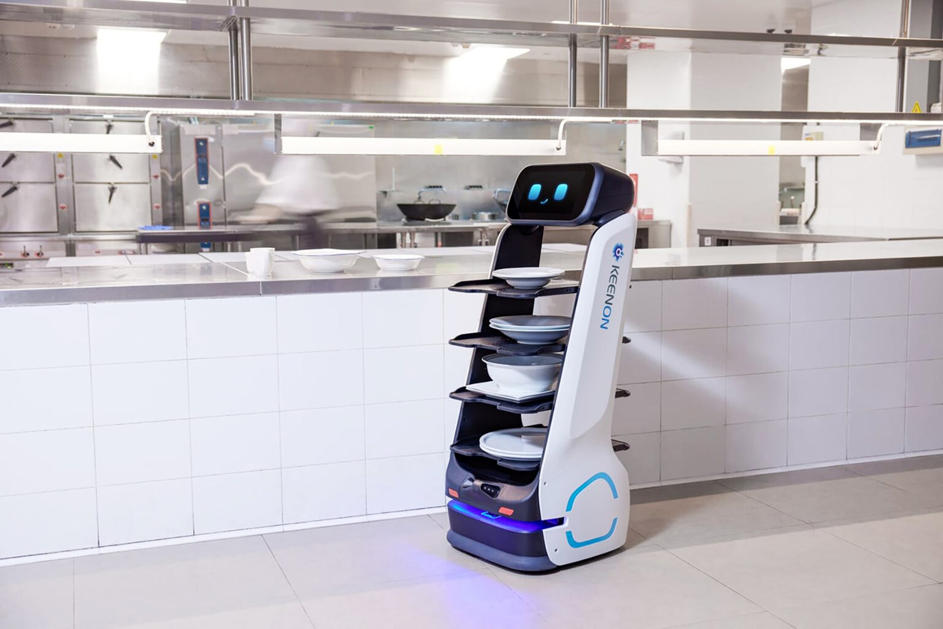 Food Delivery Robot